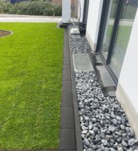 WhatsApp Image 2026-03-11 at 19.09.55