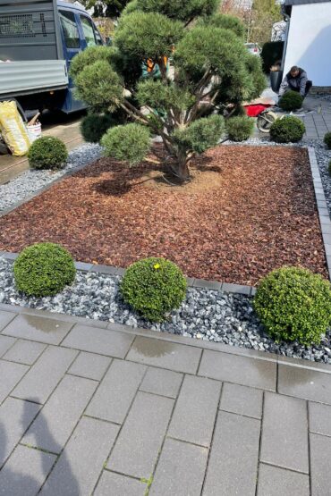 WhatsApp Image 2026-03-11 at 19.09.51 (1)